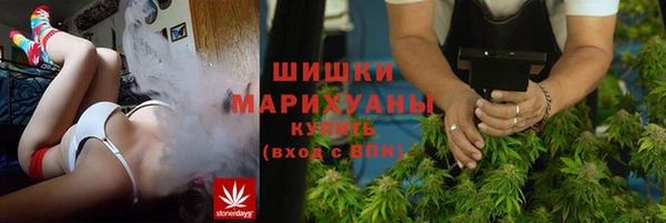 метадон Алексин