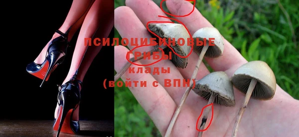 первитин Абинск
