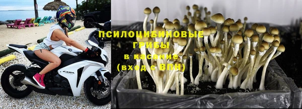 скорость Алзамай