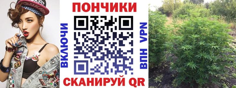 кракен зеркало  Балашиха  Бошки Шишки VHQ  даркнет сайт 